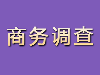 翔安商务调查